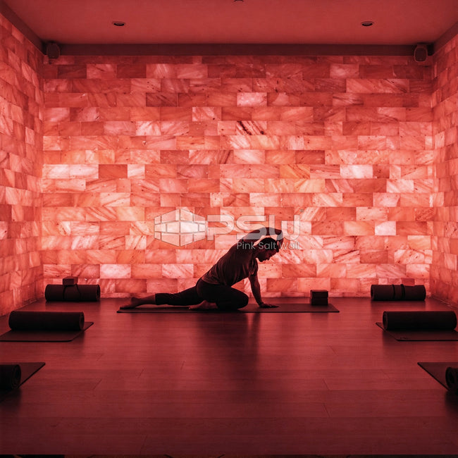 Himalayan Salt Bricks 12"(L) x 4"(W) x 2"(H) - Pack of 10
