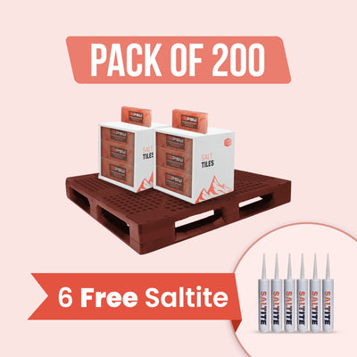 Himalayan Pink Salt Tiles 8" x 4" x 1"- Pack of 200 With 6 free Saltite