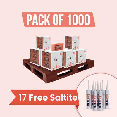 Himalayan Pink Salt Tiles 8" x 4" x 1" - Pack of 1000 with 17 free saltite