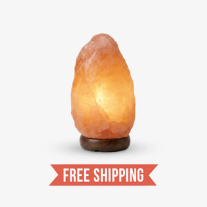 Pink Himalayan Rock Salt Lamp