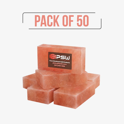 Himalayan Pink Salt Bricks (Pack of 50) 