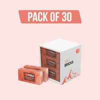 Salt Bricks Pack of 30