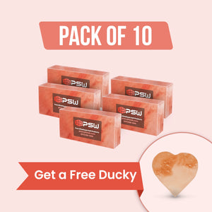 Salt Bricks with Free Ducky