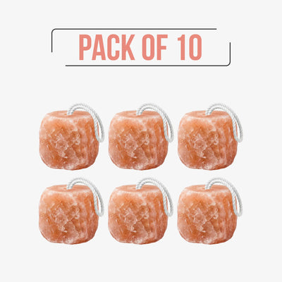Himalayan Licking Salt Block for Animals Pack of 10