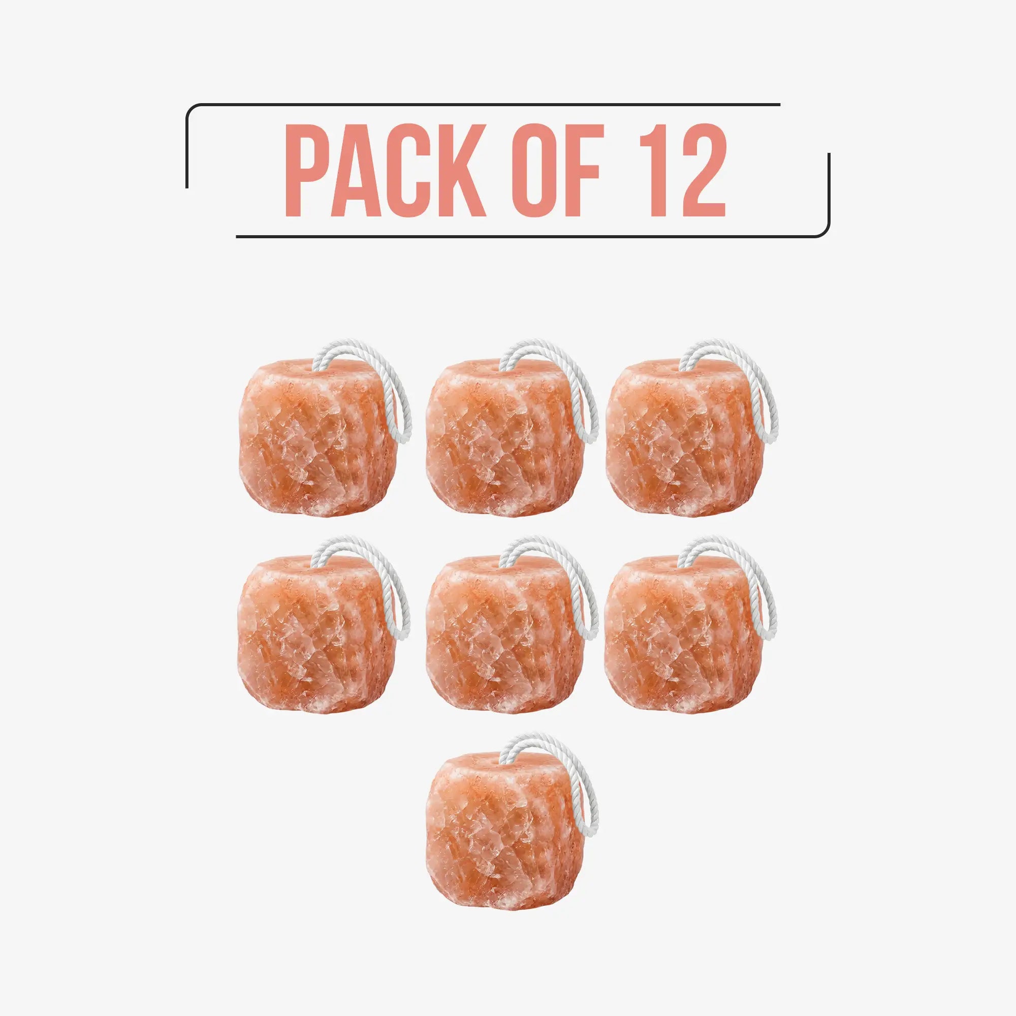 Himalayan Animal Licking Salt Block Pack of 12