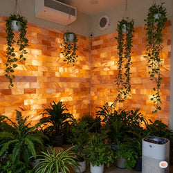 Salt Wall for Living Room