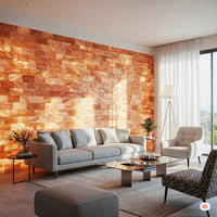 Salt Wall for Room