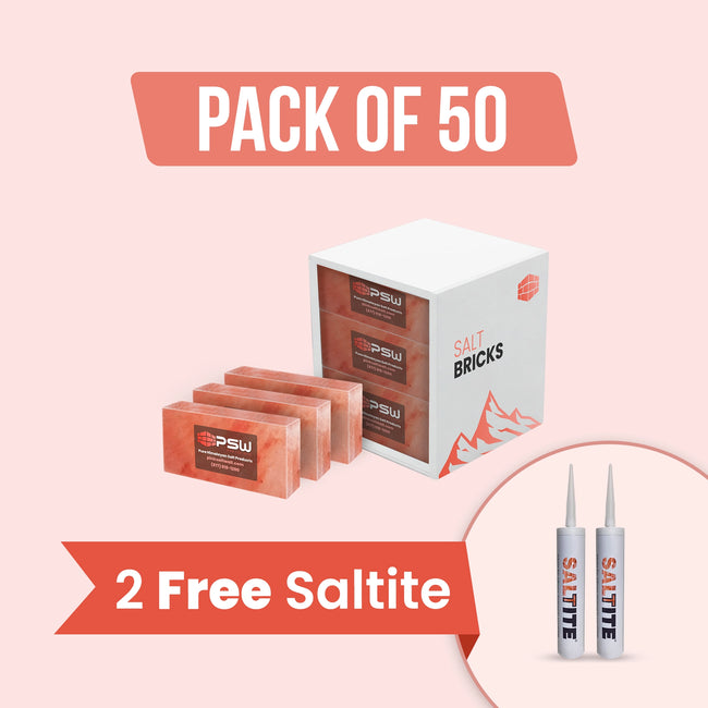 Salt bricks pack of 50 with 2 free saltite
