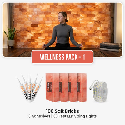 Wellness Kit: 100 Salt Bricks with 3 Saltite & 30-Ft Led String Lights