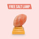 Zuma Salt Lamp