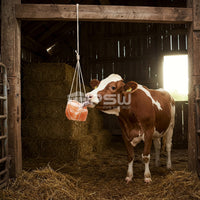 best salt lick for cows