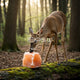 best salt lick for deer