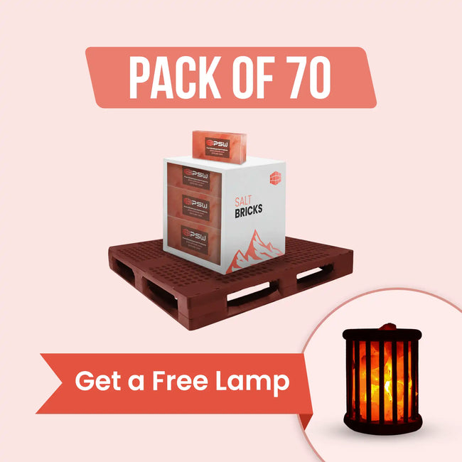 Salt Bricks 8" x 4" x 2" - Pack of 70 with Free Salt Lamp