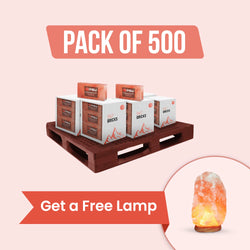 Himalayan Pink Salt Bricks 8" x 4" x 2" - Pack of 500