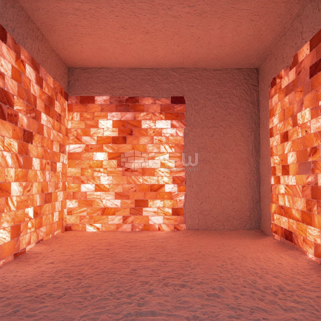 Himalayan Pink Salt Bricks - Unique Salt Blocks (4" x 3" x 2")