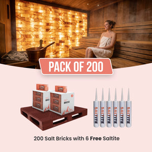 salt bricks for sauna pack of 200