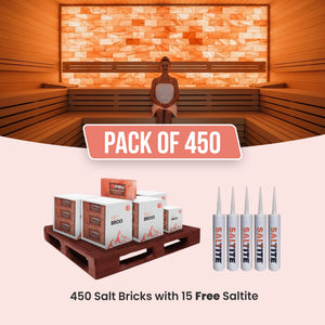 salt bricks for sauna pack of 450