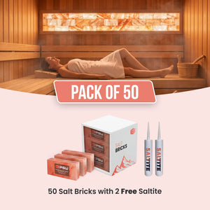 salt bricks for sauna pack of 50