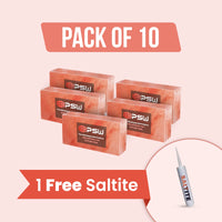 salt bricks pack 10