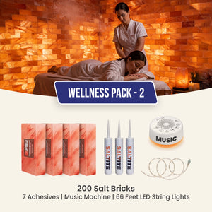 Wellness Pack 2: 200 Salt Bricks, 6 Adhesives, 66 feet LED light string & Music Machine