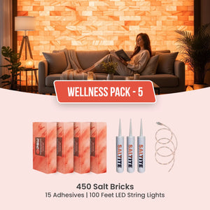 Wellness Kit: 450 Salt Bricks with 15 Saltite Adhesives & 100ft LED String Lights