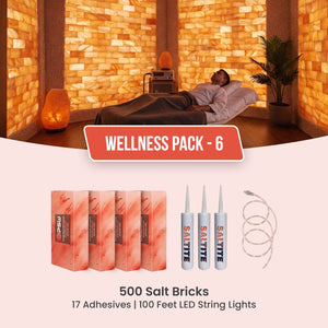 Wellness Kit: 500 Salt Bricks with 17 Saltite & 100ft LED String Lights