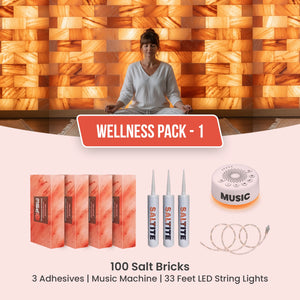 Wellness Pack 1: 100 Salt Bricks, 3 Saltite, 33 feet LED string lights & Music Machine