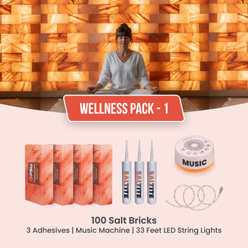 Wellness Pack 1: 100 Salt Bricks, 3 Saltite, 33 feet LED string lights & Music Machine