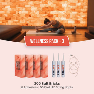 Wellness Kit: 200 Salt Bricks, 6 Saltite , 60 Feet LED String Light