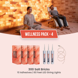 Wellness Kit: 300 Salt Bricks with 10 Saltite Adhesives & 60ft LED String Lights